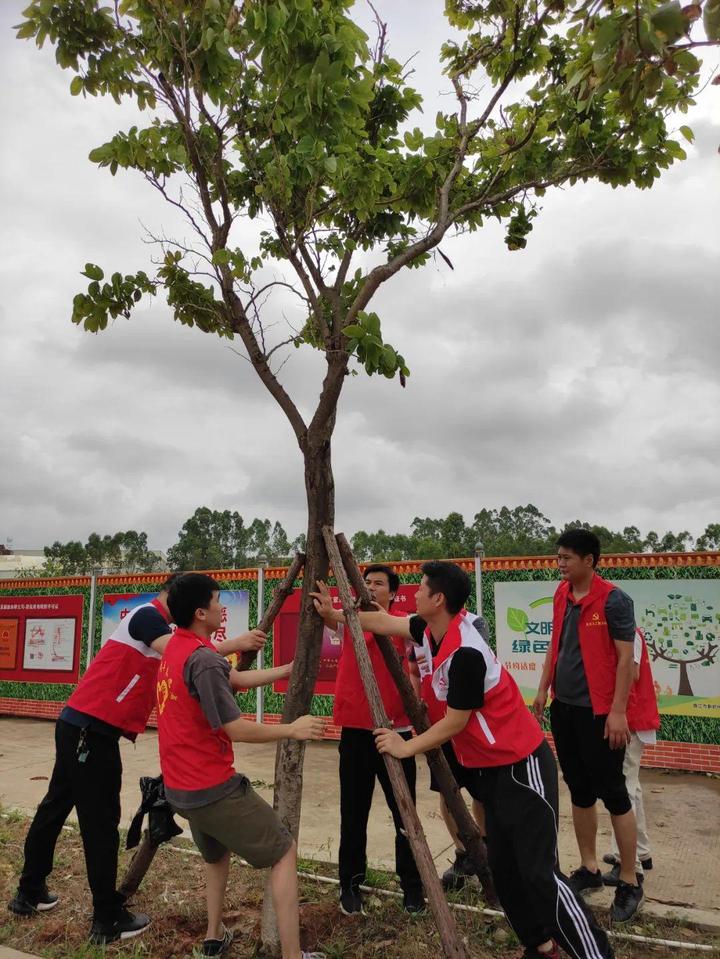 6b2fff1a7ca6b4f8bb680cb5f8f84bb8_G1689934006249_720x959.jpeg 6b2fff1a7ca6b4f8bb680cb5f8f84bb8_G1689934006249_720x959.jpeg